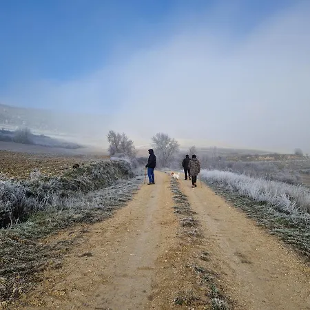 度假居 Martinez *