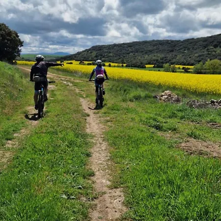 度假居 Martinez *